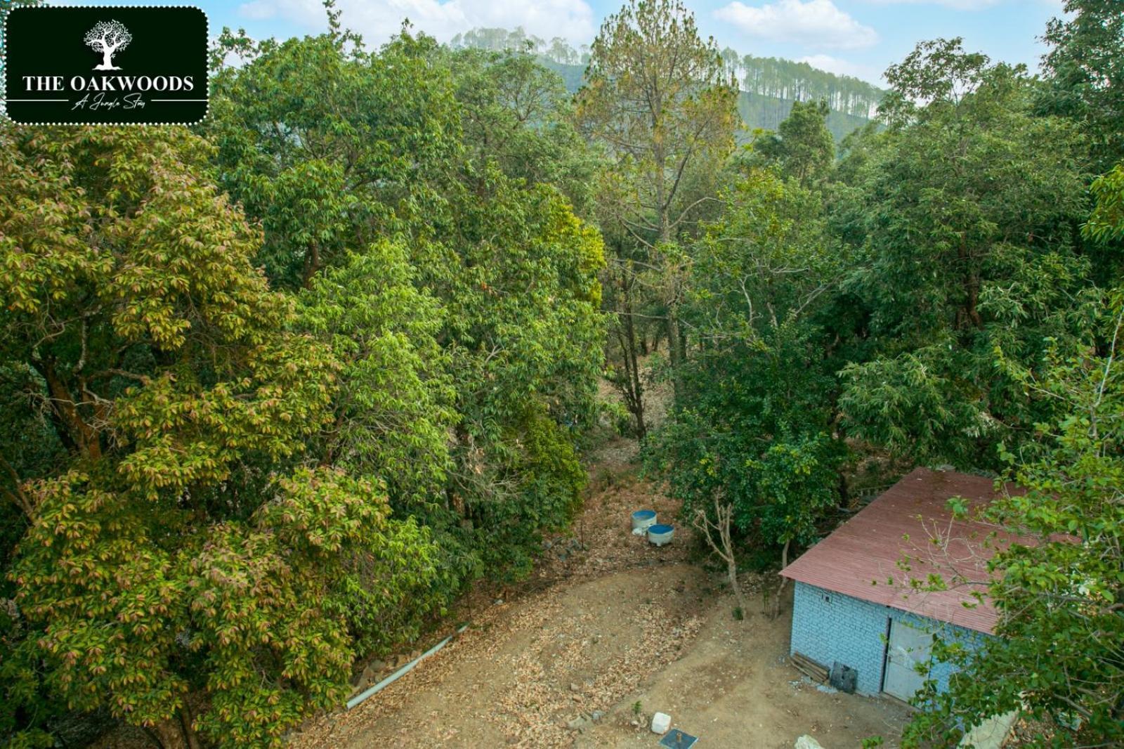 The Oakwoods Homestay *