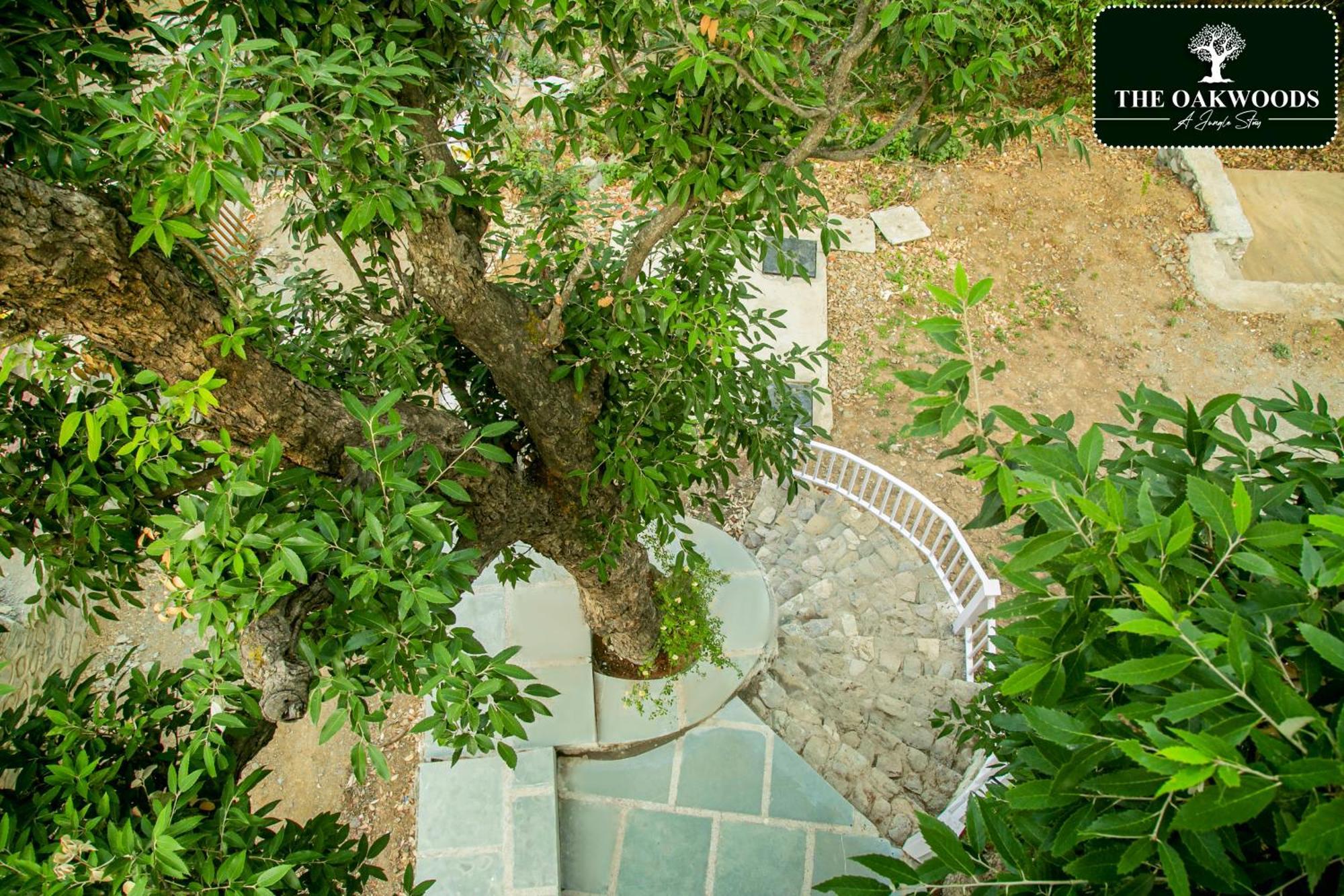 The Oakwoods Homestay Bhowali
